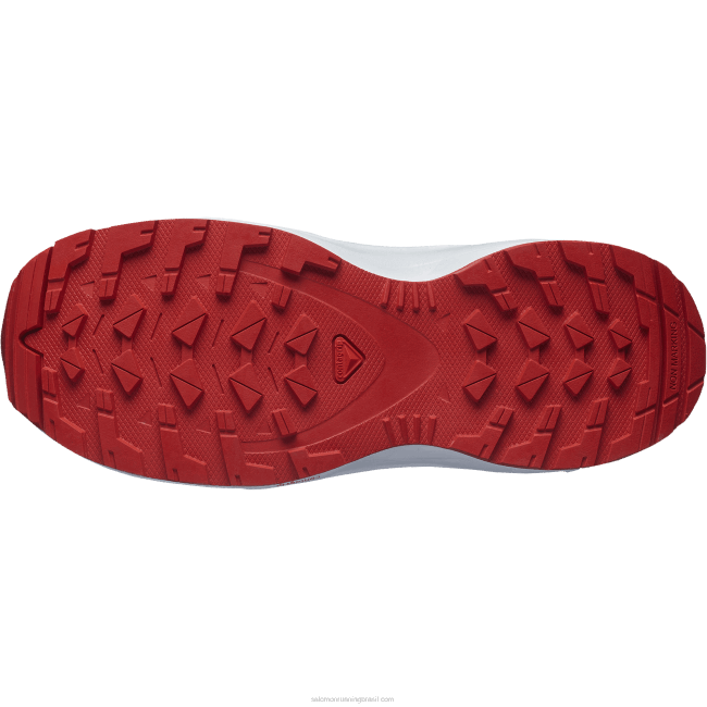 Salomon46081357 júnior - sapatos infantis - xa pro v8 tempo tempestuoso/azul zen/goji berry