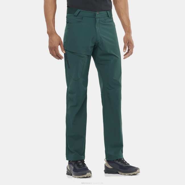 Salomon46081202 calça masculina - wayfarer pinheiro ponderosa