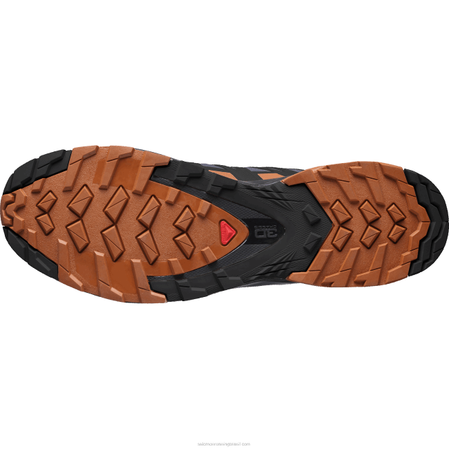 Salomon46081481 tênis de corrida masculino - xa pro 3d v8 gore-tex ébano/caramelo café/preto