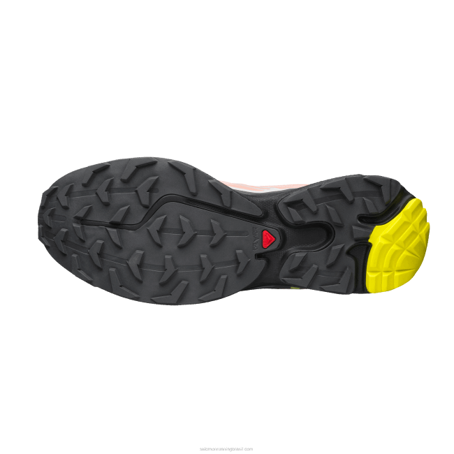Salomon460872 sapatos esportivos masculinos - xt-6 dália florescendo/monumento/preto