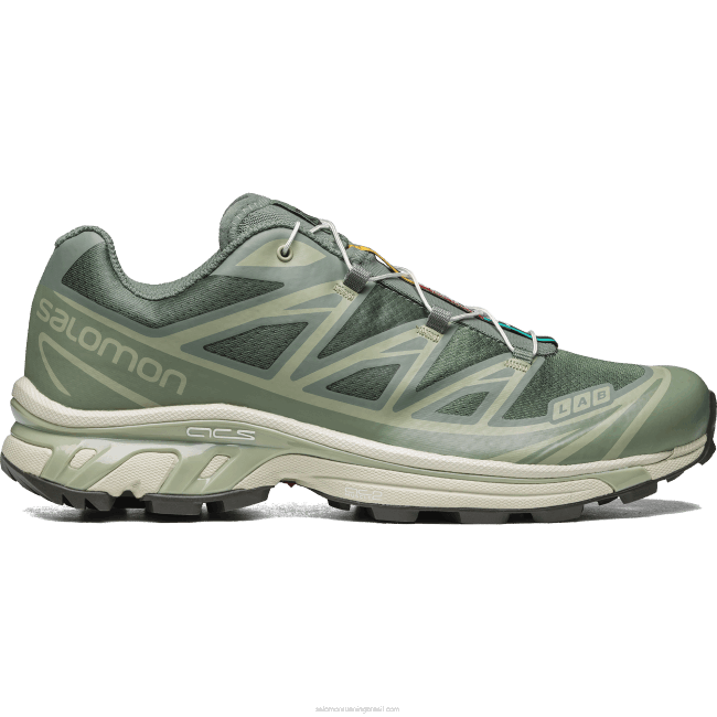 Salomon460877 sapatos esportivos masculinos - xt-6 coroa de louros/lírios/sálvia do deserto