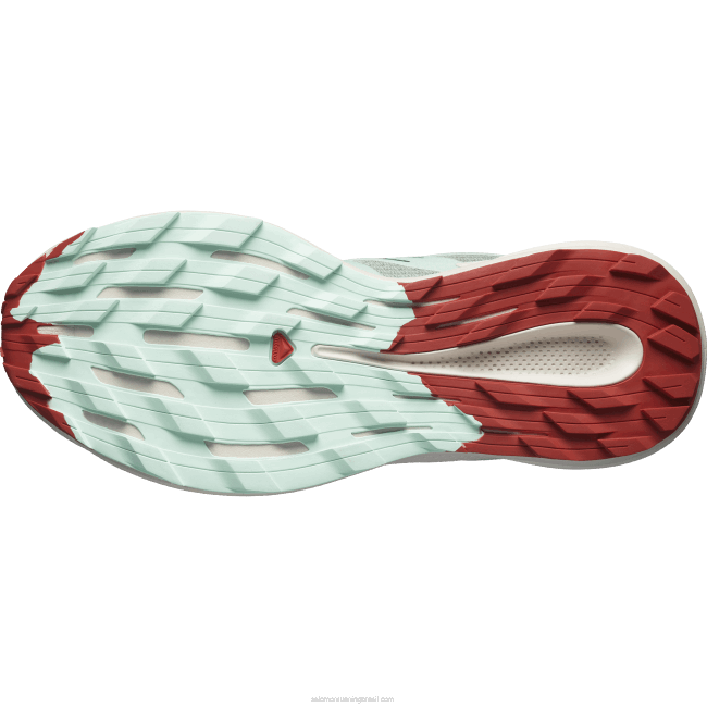 Salomon46081514 tênis de corrida feminino - trilha pulsar Almofada de lírio/água branqueada/molho picante