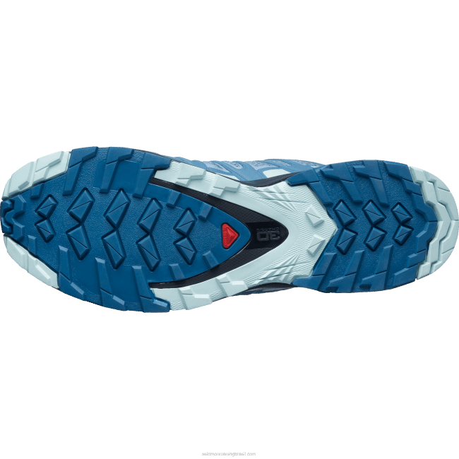 Salomon46081535 tênis de corrida feminino - xa pro 3d v8 azul ashley/ébano/azul opala