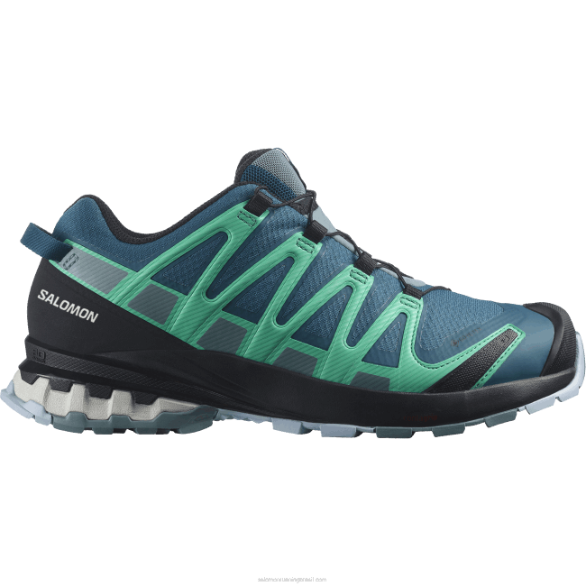 Salomon46081539 tênis de corrida feminino - xa pro 3d v8 gore-tex legion blue/trooper/mint leaf
